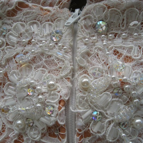 Michael Casey Ivory/Blush Alencon Lace Column Sheath Gown Long Dress Bridal Sz 6 - Picture 10 of 16